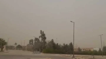 الأرصاد توضح موعد تراجع نشاط الرياح في ظل تقلبات الحالة الجوية الحالية